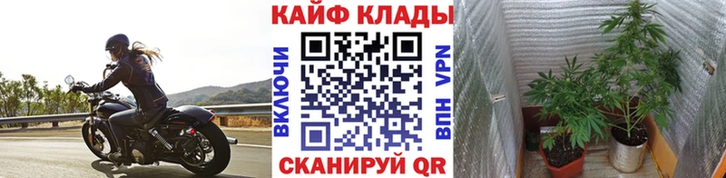 Сколько стоит Красный Кут Гашиш  Alpha-PVP  Мефедрон 