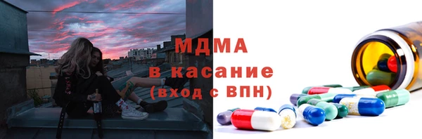 PSILOCYBIN Алзамай