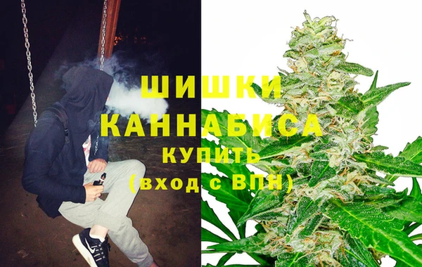 PSILOCYBIN Алзамай